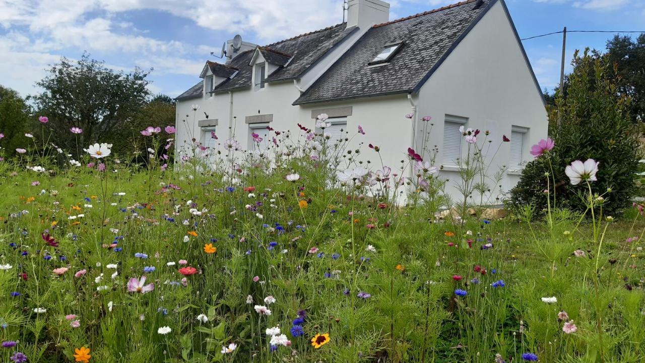 Maison 8 Personnes A 4 Km De Benodet Gouesnach Eksteriør billede